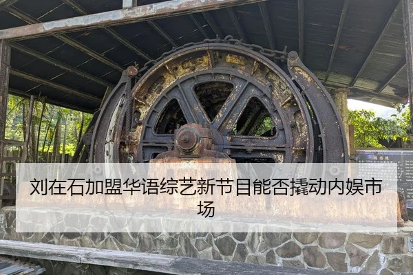 刘在石加盟华语综艺新节目能否撬动内娱市场